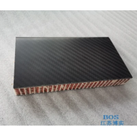 碳纖維泡沫夾芯板加工 博實碳纖維夾芯板規格齊全-