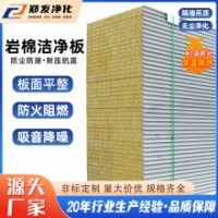 阻燃巖棉凈化板 無(wú)塵車間隔斷墻用防火彩鋼夾芯板 隔熱保溫巖棉板